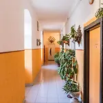 Lussi * Póla